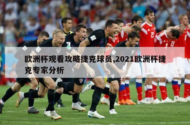 欧洲杯观看攻略捷克球员,2021欧洲杯捷克专家分析