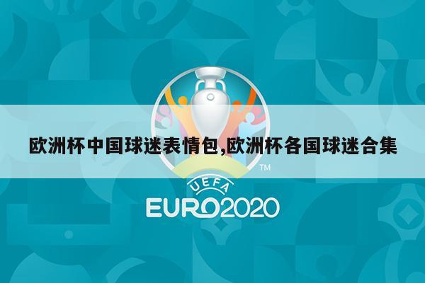欧洲杯中国球迷表情包,欧洲杯各国球迷合集
