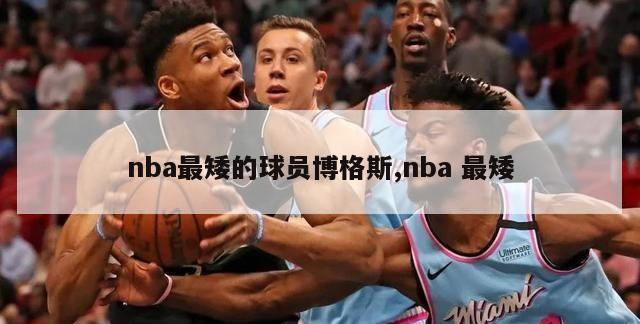 nba最矮的球员博格斯,nba 最矮