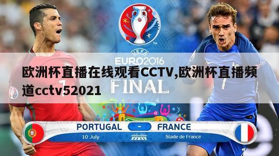 欧洲杯直播在线观看CCTV,欧洲杯直播频道cctv52021
