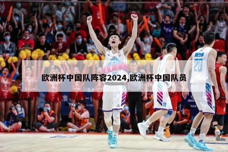 欧洲杯中国队阵容2024,欧洲杯中国队员