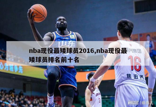 nba现役最矮球员2016,nba现役最矮球员排名前十名