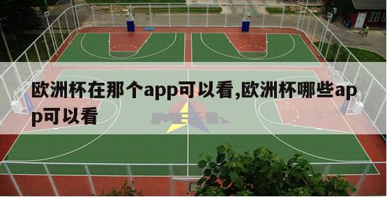 欧洲杯在那个app可以看,欧洲杯哪些app可以看