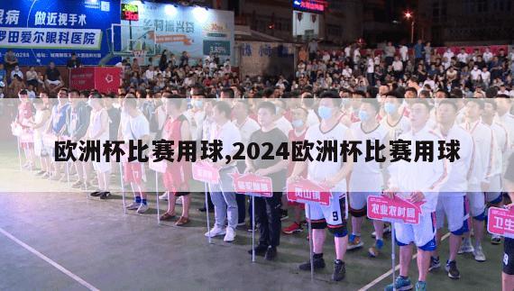 欧洲杯比赛用球,2024欧洲杯比赛用球