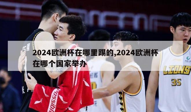 2024欧洲杯在哪里踢的,2024欧洲杯在哪个国家举办