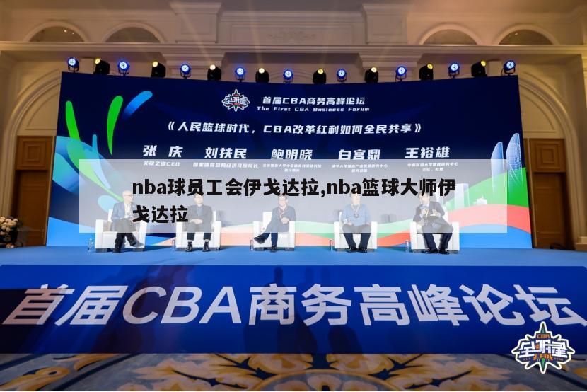 nba球员工会伊戈达拉,nba篮球大师伊戈达拉